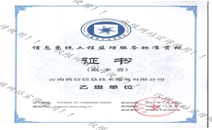 信息系统工程监理服务