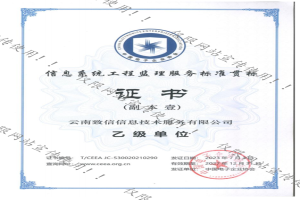 信息系统工程监理服务